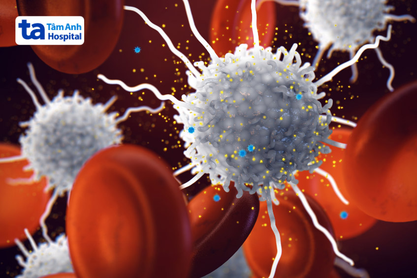 Phản ứng viêm khi bị vi khuẩn, virus tấn công có thể gây co mạch và khiến huyết áp cao lên