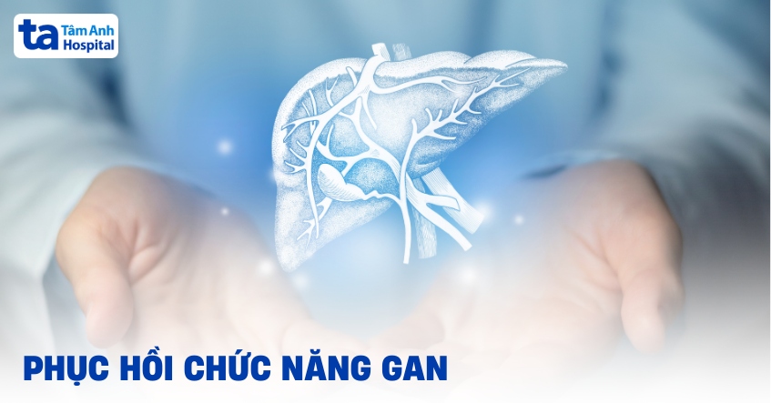 phục hồi chức năng gan