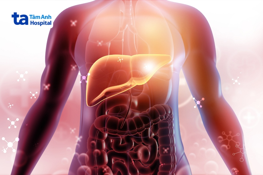 phục hồi tế bào gan