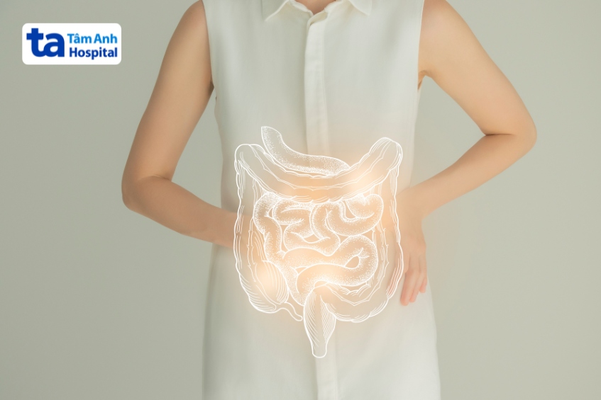 ruột con người dài bao nhiêu mét