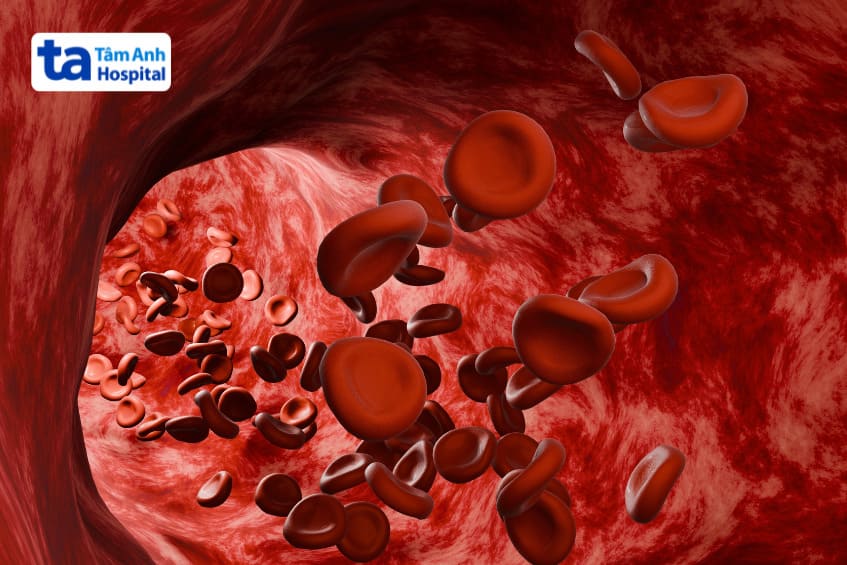 số lượng hồng cầu trong mạch máu