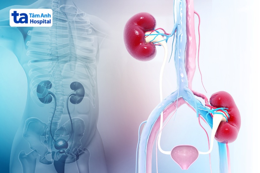 tác dụng của chụp xạ hình thận