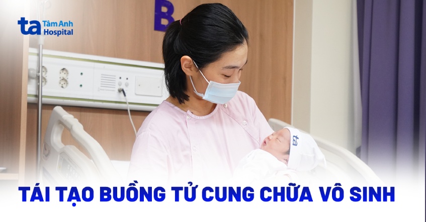Tái tạo buồng tử cung chữa vô sinh