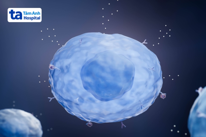 Minh họa tế bào mast đang giải phóng histamin trong phản ứng dị ứng