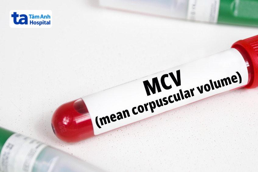 thể tích trung bình hồng cầu hỗ trợ bác sĩ xác định phân loại thiếu máu