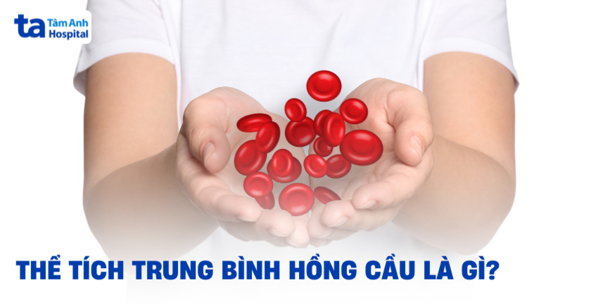 Thể tích trung bình hồng cầu là gì? Ý nghĩa chỉ số xét nghiệm