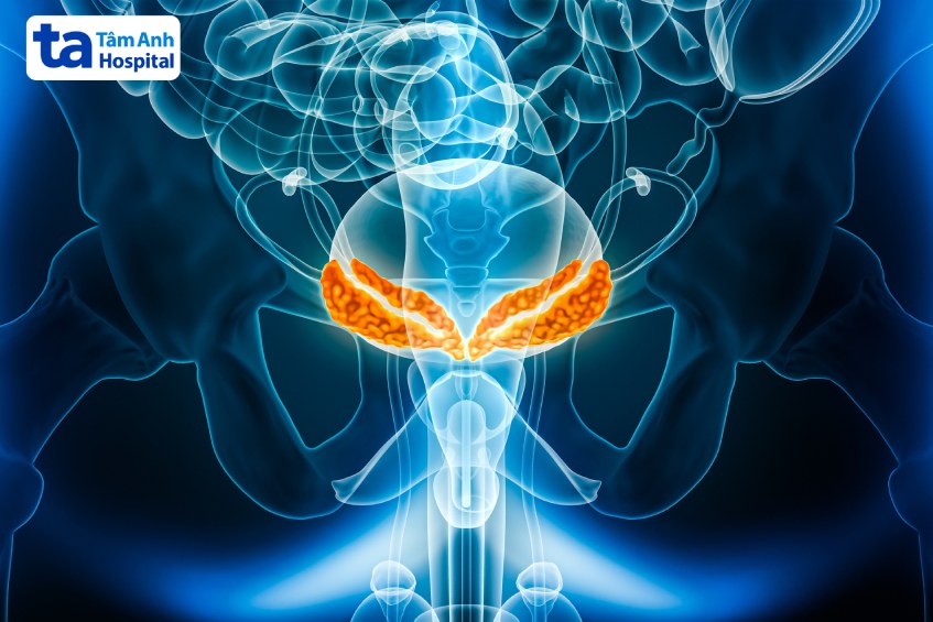 Tình trạng viêm, có sỏi, nang hoặc khối u… là những yếu tố ảnh hưởng đến hoạt động của túi chứa tinh