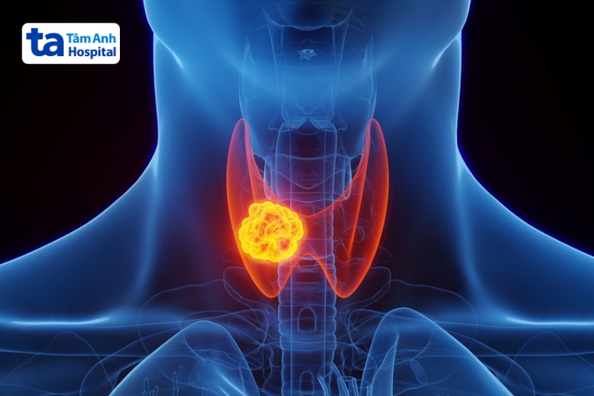 tuyến giáp là một tuyến nhỏ hình cánh bướm nằm ở cổ
