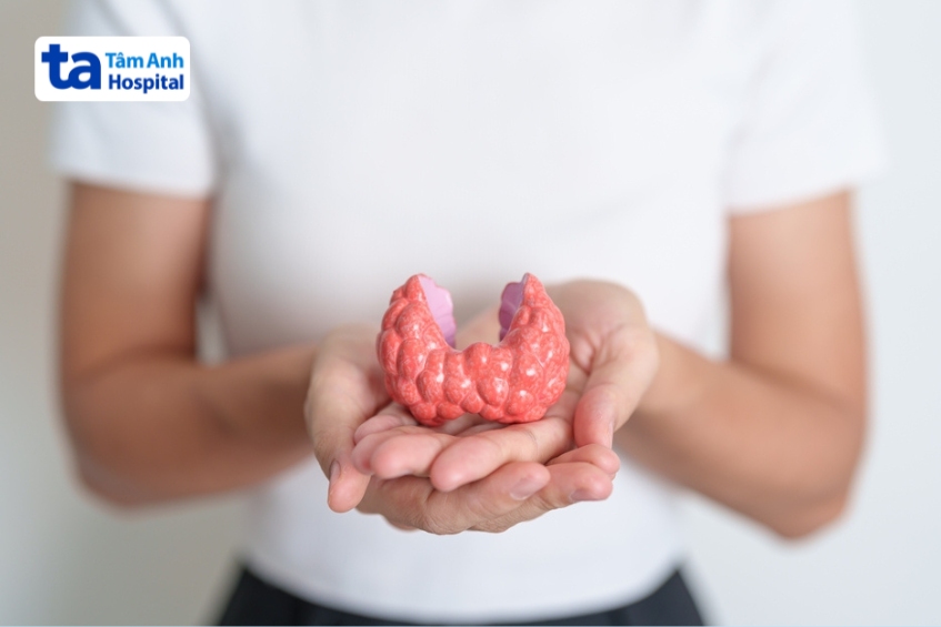 tuyến giáp là tuyến nội tiết lớn nhất cơ thể, có hình bướm