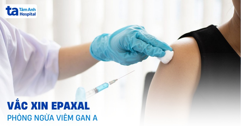 Vắc xin Epaxal phòng ngừa viêm gan A