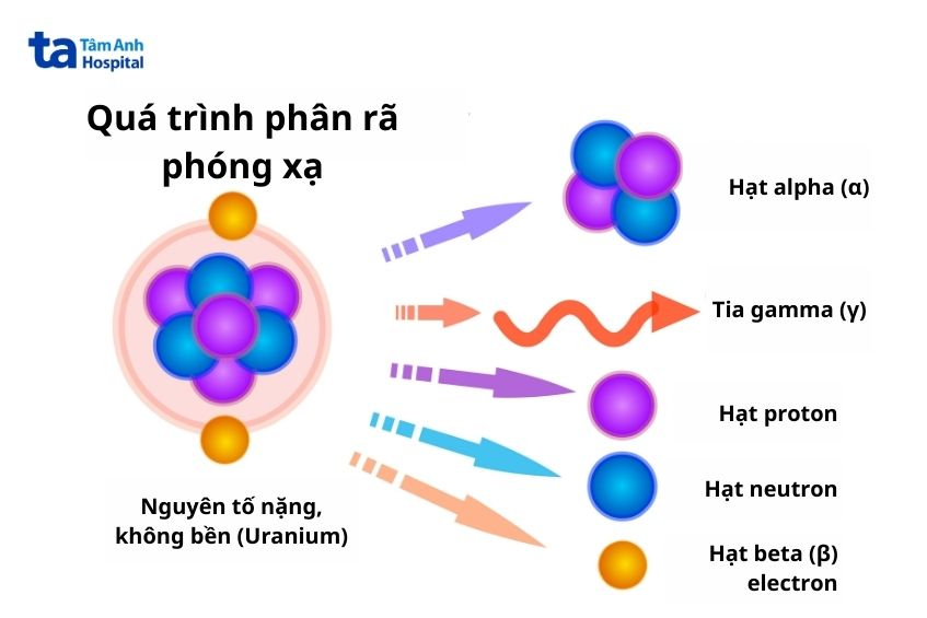 ví dụ về quá trình phân rã phóng xạ với nguyên tố uranium tạo ra hạt alpha, beta, tia gamma