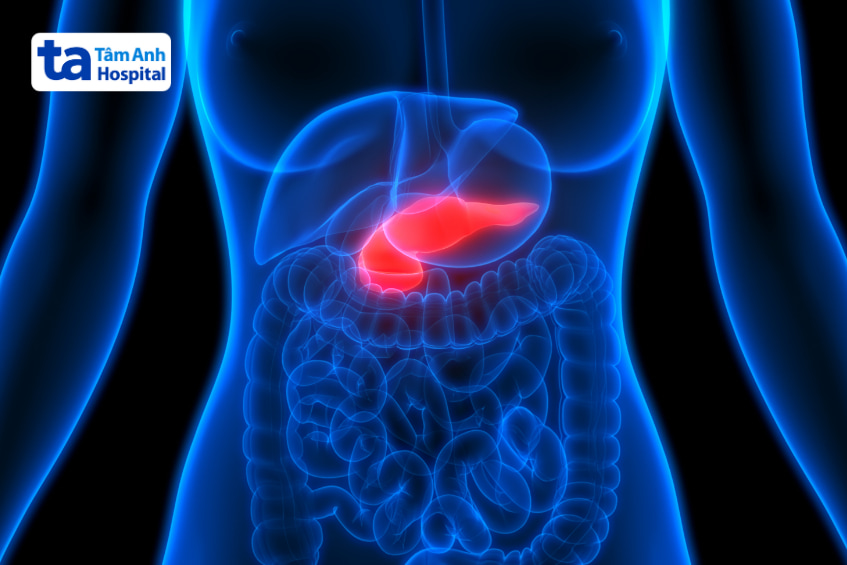 Hình ảnh vị trí tuyến tụy trong ổ bụng, giúp chẩn đoán các bệnh thường gặp ở tụy