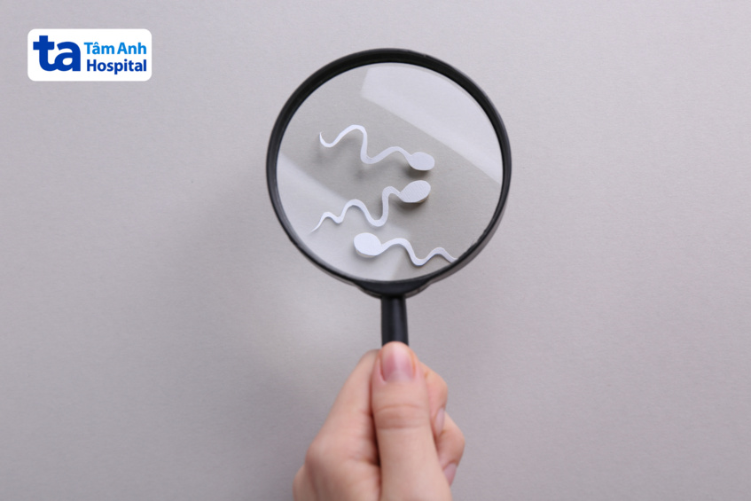 ảnh minh họa kính lúp soi tinh trùng