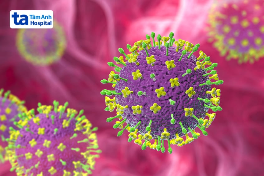 ảnh mô phỏng virus nipah