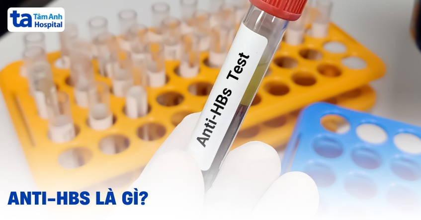 Tầm quan trọng của Anti HBs trong phòng ngừa viêm gan B