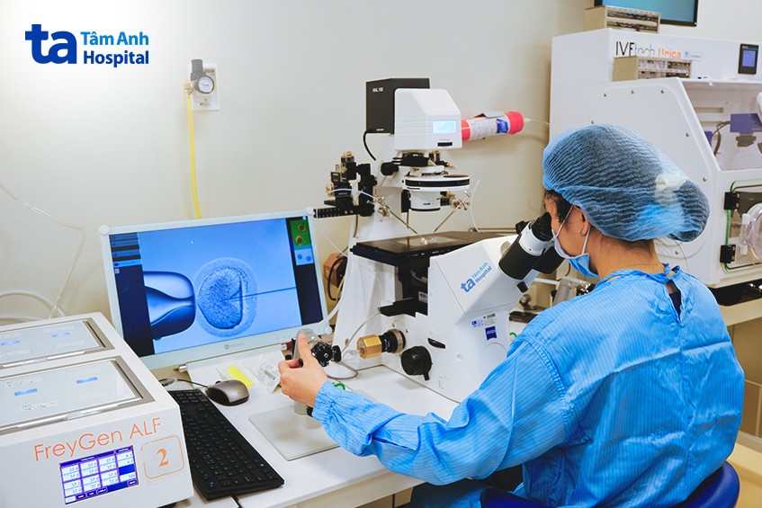 Chuyên viên phôi học đang tiêm tinh trùng vào bào tương noãn tạo phôi