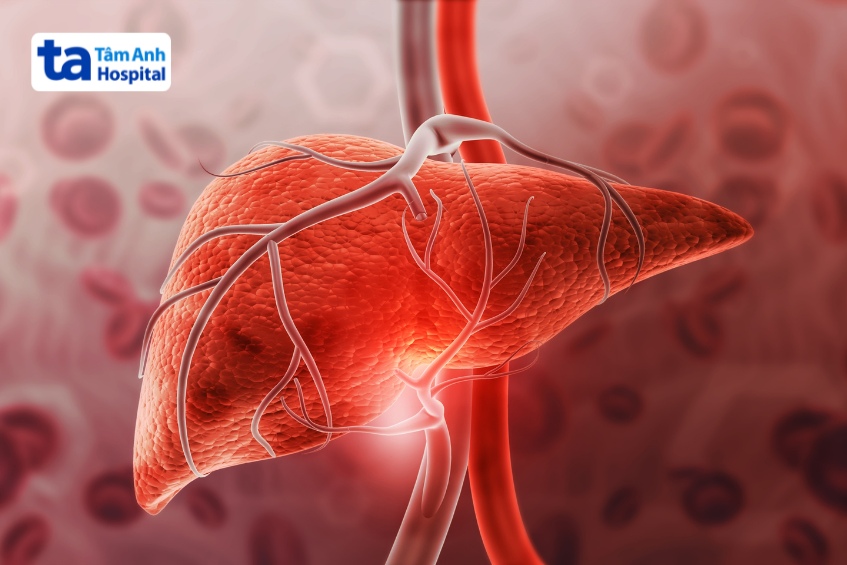 cơ chế hội chứng gan phổi