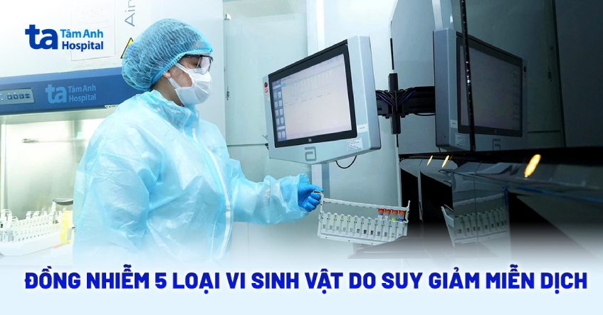 Đồng nhiễm 5 loại vi sinh vật do suy giảm miễn dịch
