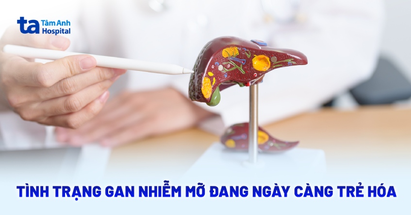 Tình trạng gan nhiễm mỡ đang ngày càng trẻ hóa