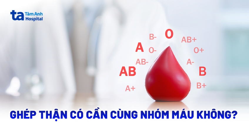 Ghép thận có cần cùng nhóm máu? Khác có được không?