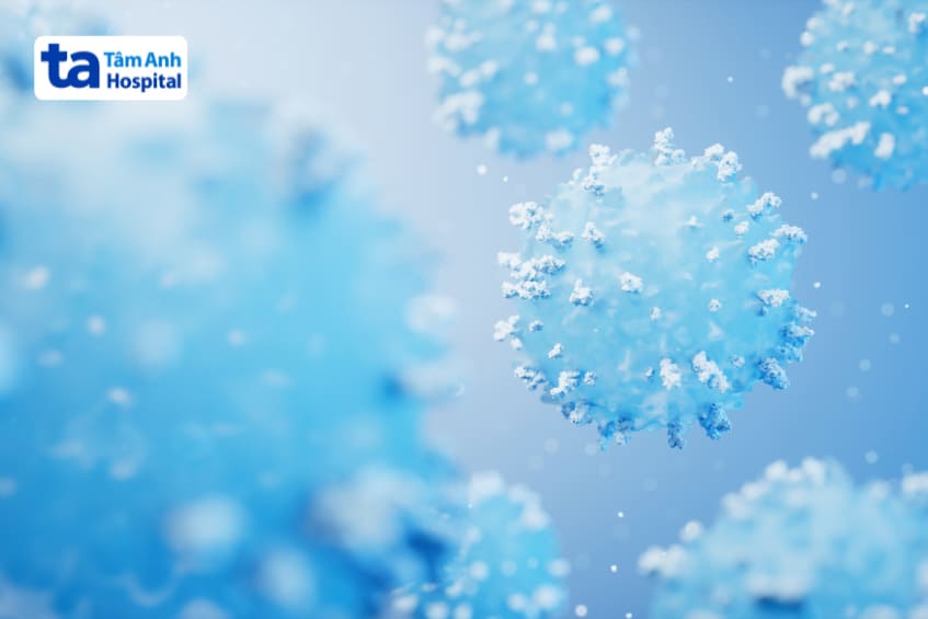 giúp tăng cường hệ miễn dịch