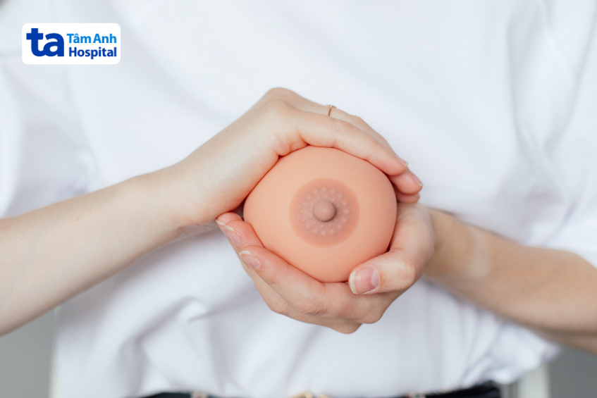 kích thước nhũ hoa bình thường