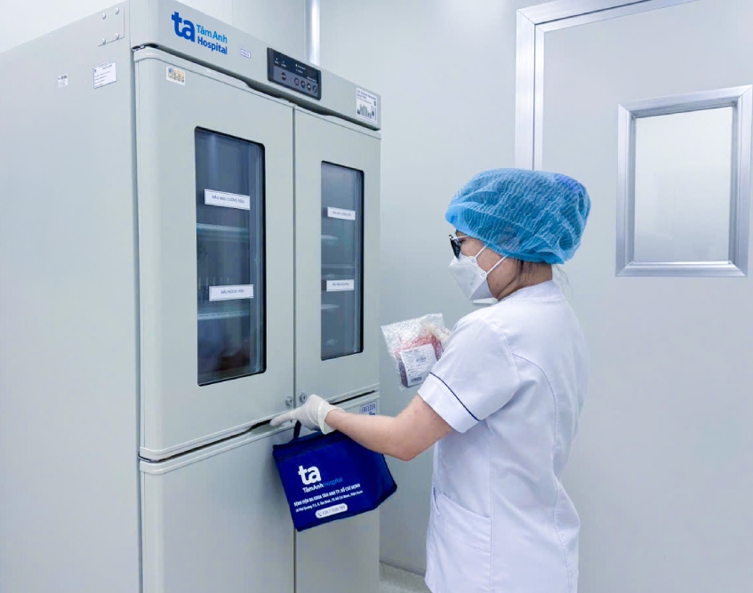 tế bào gốc máu và mô dây rốn được xử lý, lưu trữ tại ngân hàng mô bvđk tâm anh