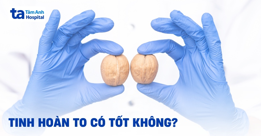 Liệu tinh hoàn to có tốt hay ảnh hưởng gì không?