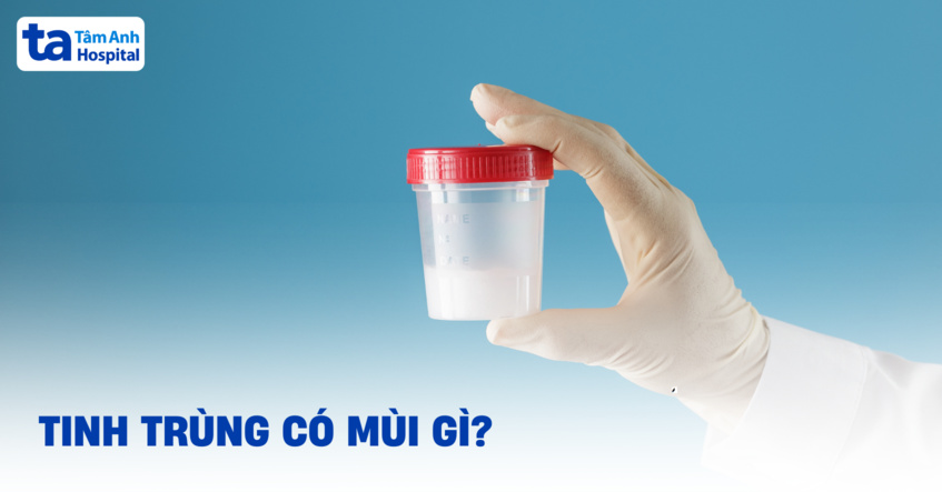 Tinh dịch, tinh trùng có mùi gì? Vị mặn hay không mùi có sao không?