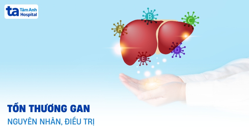 Nguyên nhân gây tổn thương gan, cách phục hồi an toàn