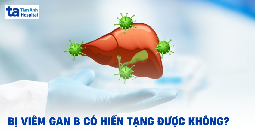 viêm gan b có hiến tạng được không