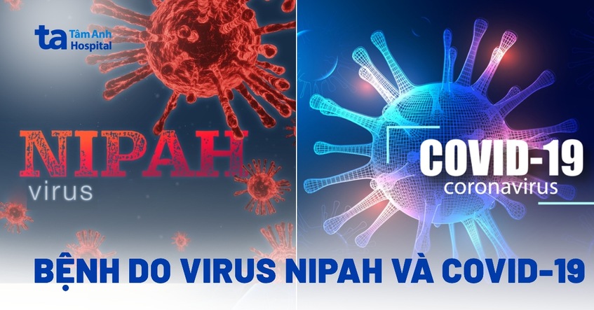 Bệnh do virus Nipah và Covid-19: Loại nào nguy hiểm hơn?