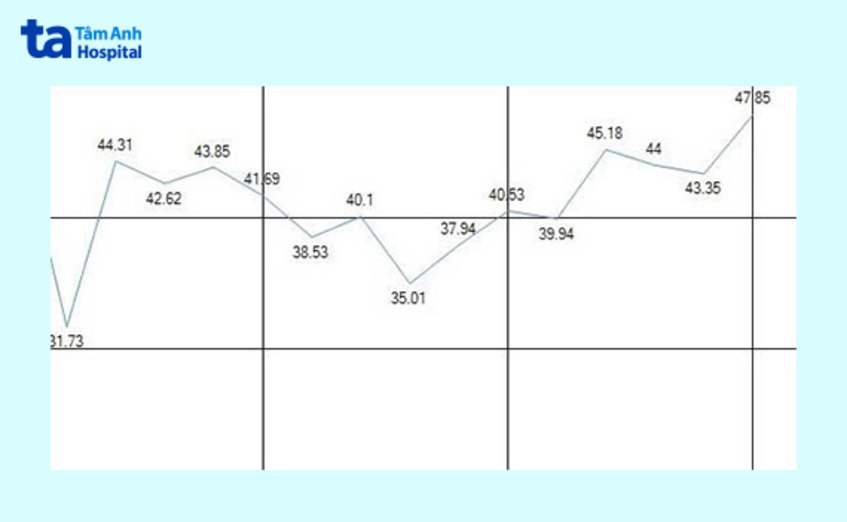 biểu đồ giai đoạn đầu chức năng thận