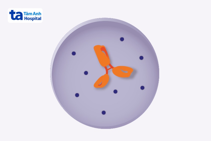 công dụng thuốc enhertu