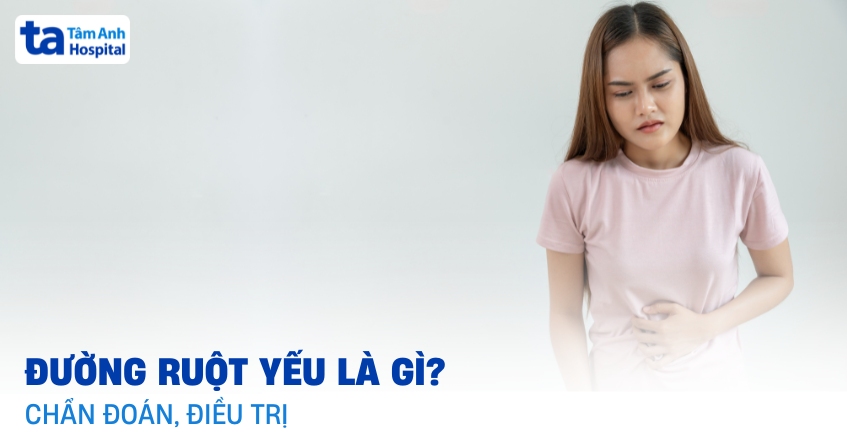 Đường ruột yếu là gì? Cách giúp ruột khỏe mạnh tự nhiên