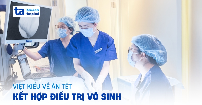 Kiều bào về nước đón Tết kết hợp điều trị vô sinh