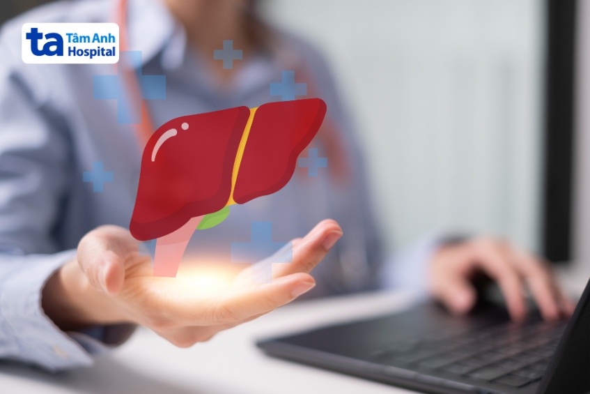 phân chia thùy gan