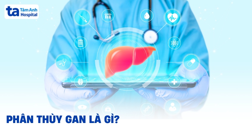 Phân thùy gan trong chẩn đoán và phẫu thuật