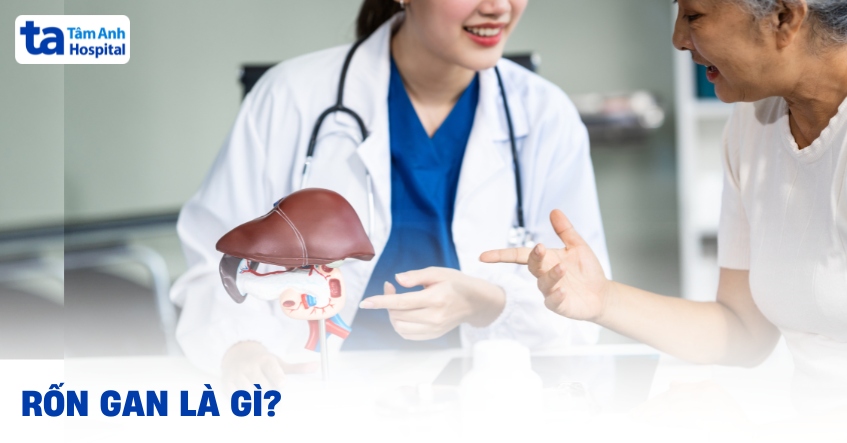 Rốn gan là gì? Cấu trúc, chức năng và vai trò