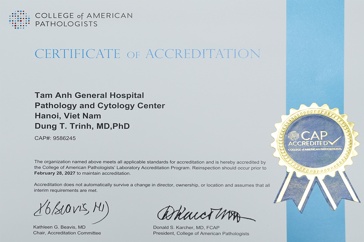 chứng nhận cap của mỹ