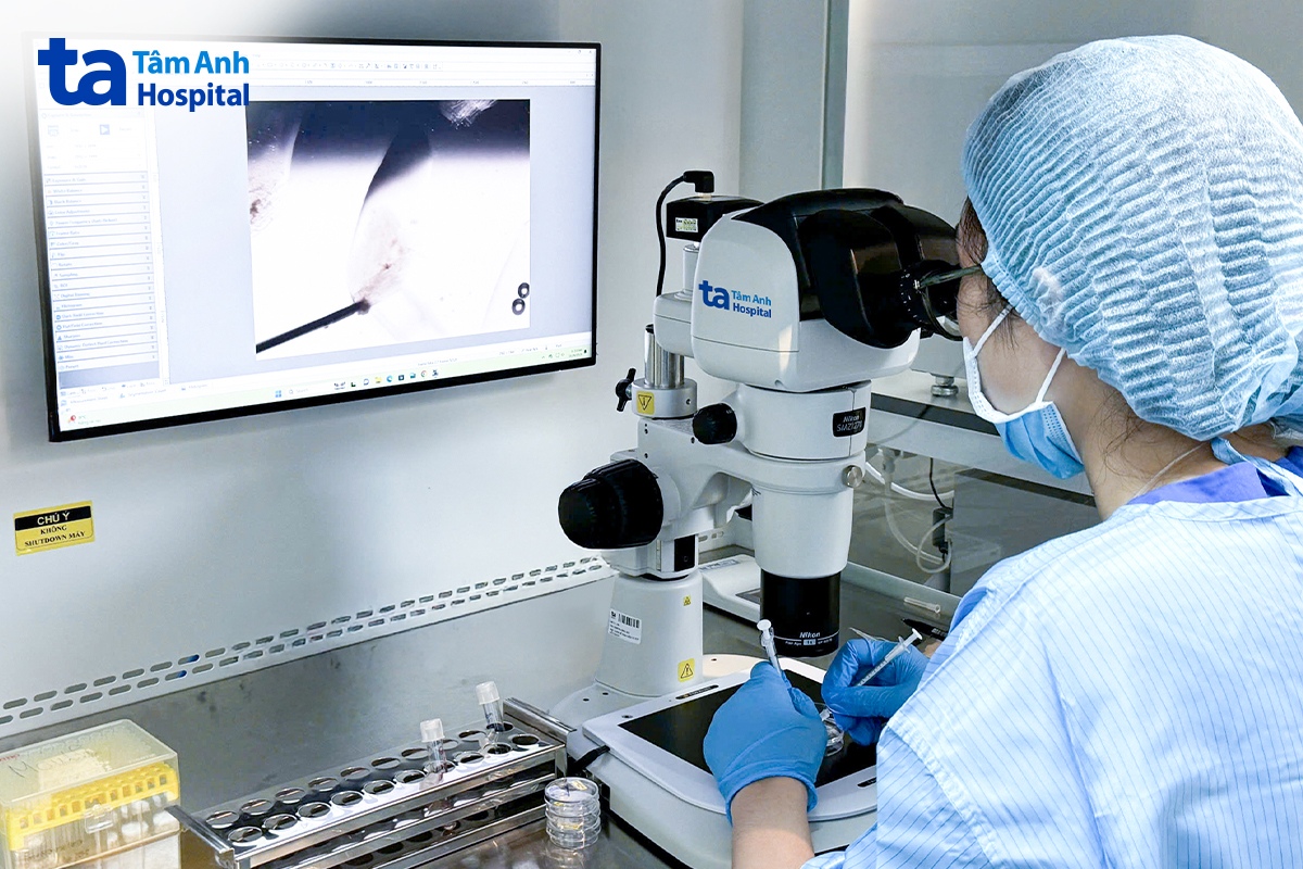 Chuyên viên phôi học xé mẫu mô tìm tinh trùng