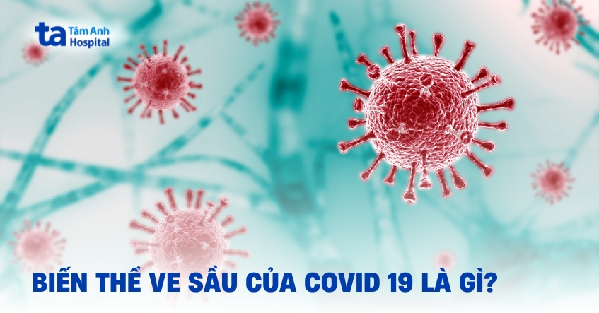 Biến thể ve sầu của COVID-19 (BA.3.2) lây lan như thế nào?