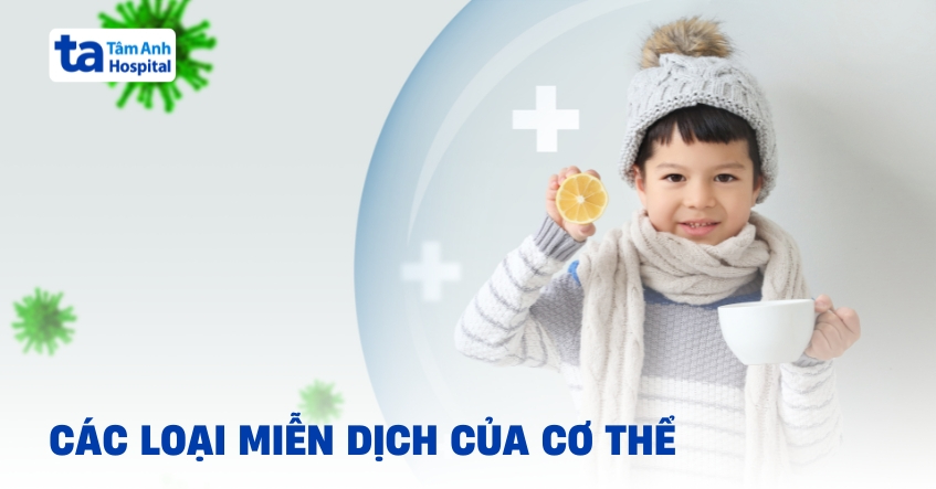 các loại miễn dịch trong cơ thể_ phân loại và cơ chế hoạt động