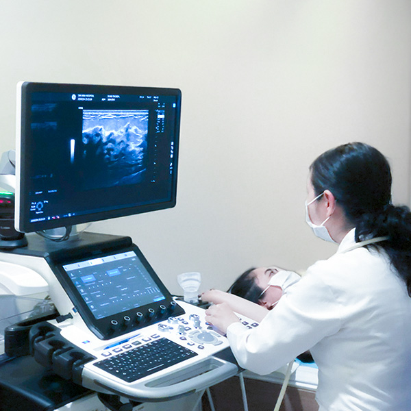 Hệ thống máy siêu âm Logiq E10, Logiq Fortis (GE Healthcare, Mỹ)