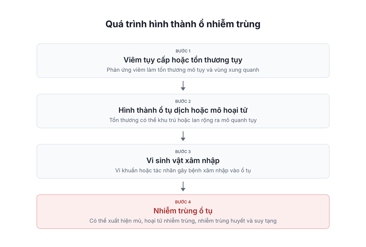 Áp xe tụy hình thành như thế nào?
