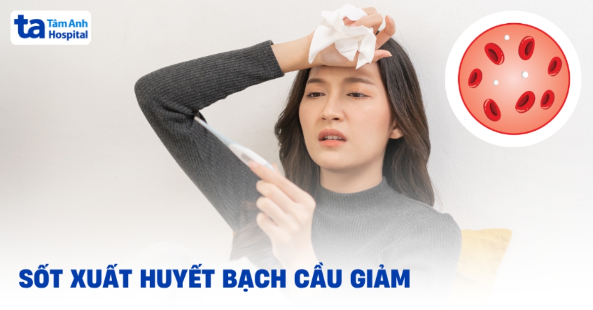 Bị sốt xuất huyết bạch cầu giảm có gây vấn đề nào không?