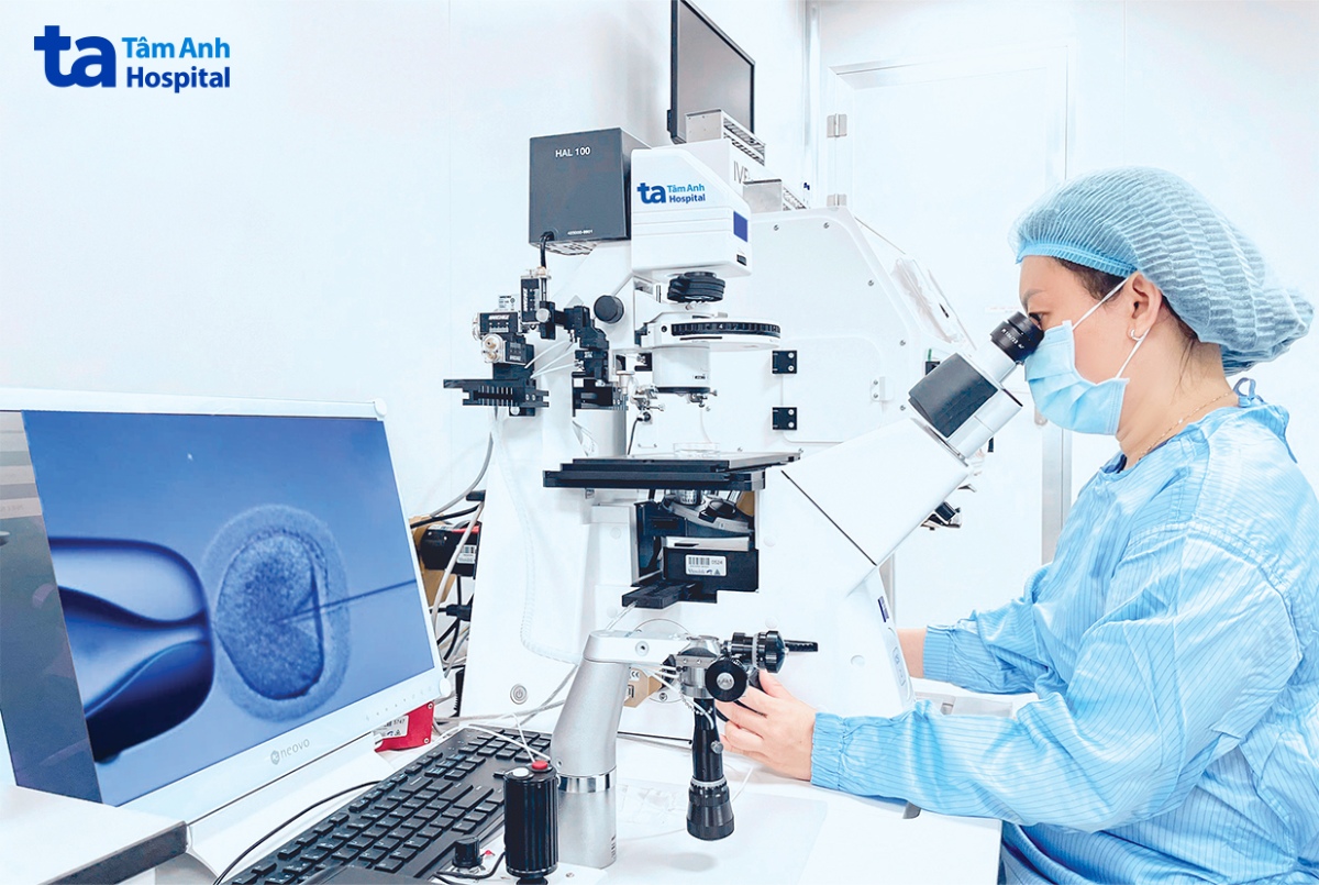 ths nguyễn ngọc quỳnh tiêm tinh trùng vào bào tương noãn (icsi)