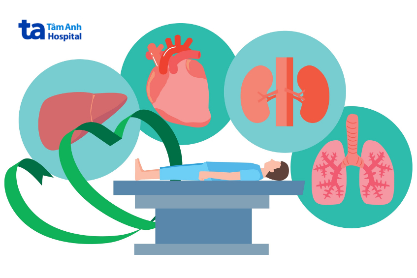 các loại ghép tạng hiện nay