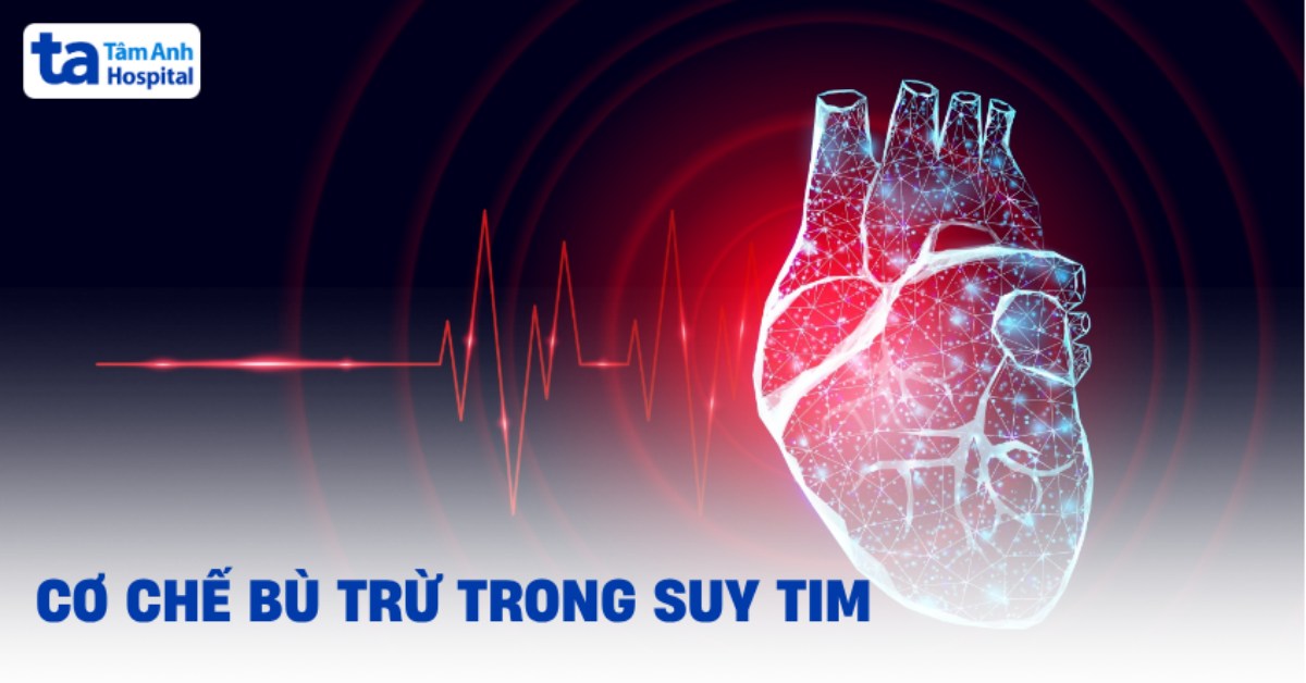 Cơ chế bù trừ trong suy tim là gì? Vai trò và hậu quả lâu dài