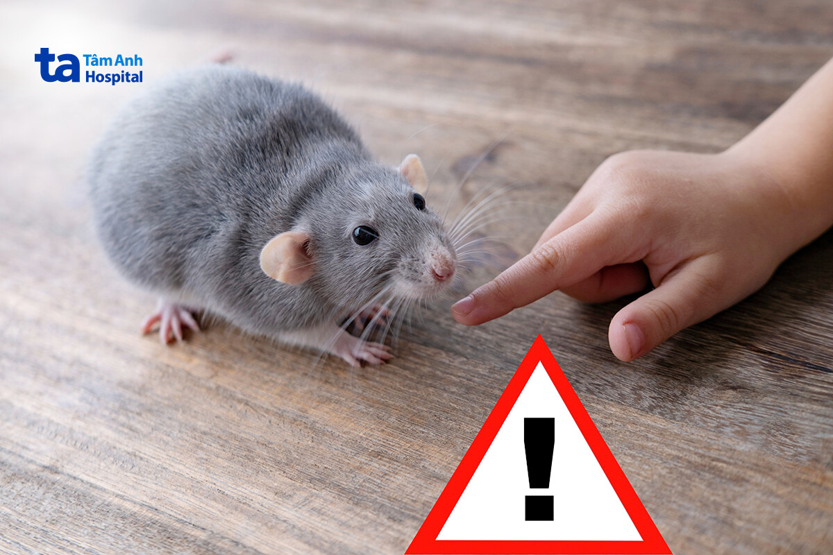 đường lây truyền puumala virus